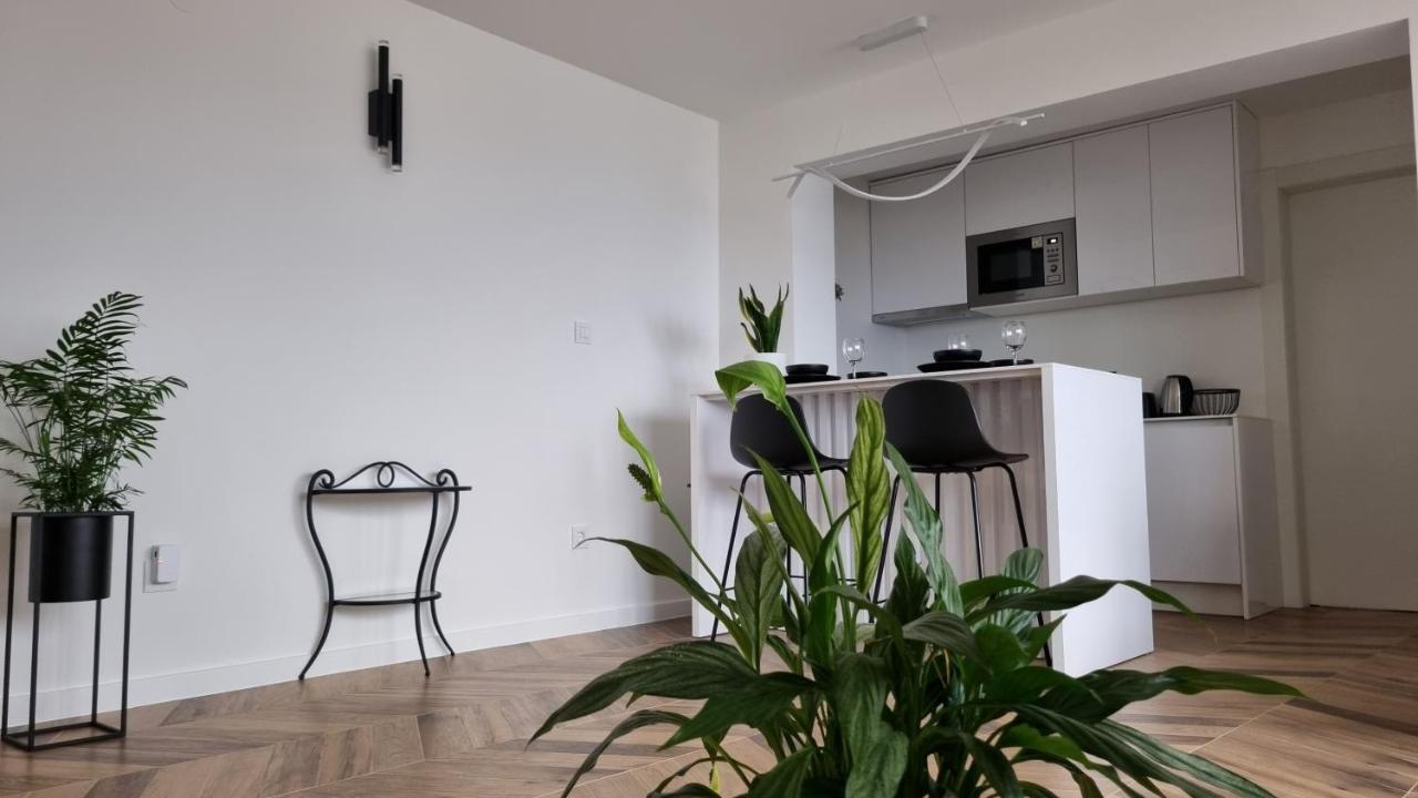 Beautiful Apartment,Amazing View,Parking! ドゥブロブニク エクステリア 写真